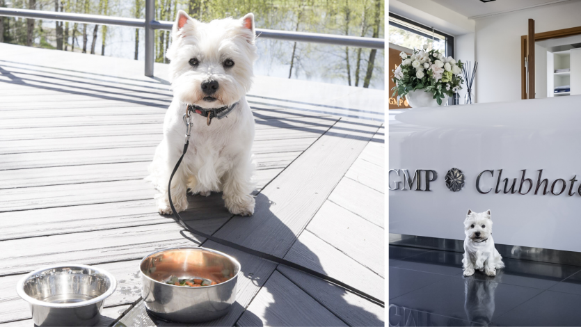 Ulbert.GMP Clubhotelis